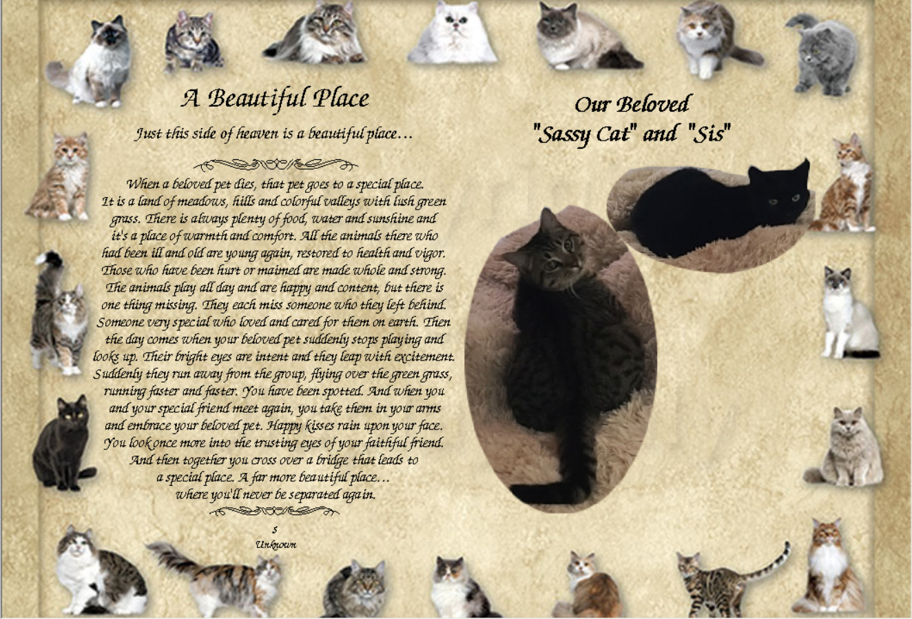 Personalized memorial print honoring Sassy Cat and Sis